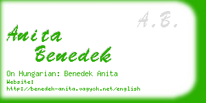 anita benedek business card
